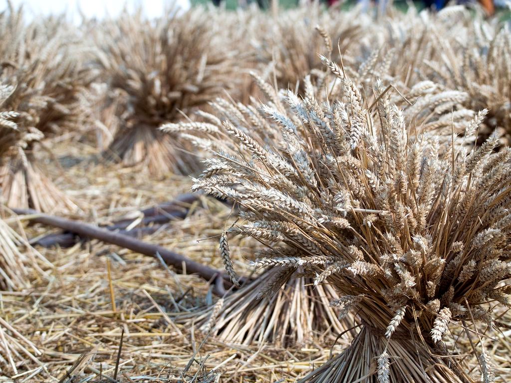 Modern apartment living room with stylish furniture