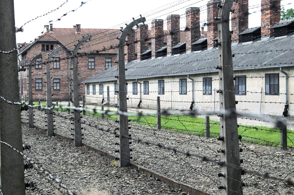 Traveler browsing accommodation options on a tablet in a cozy setting