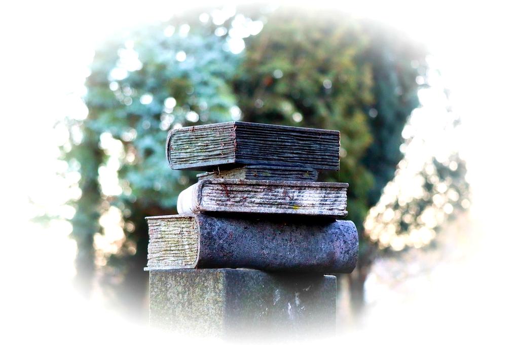 Instant booking confirmation icon